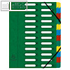 Exacompta Ordnungsmappe, DIN A4, 24 F?cher, Karton 425 g/qm, gr?n, 55243E