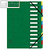 Exacompta Ordnungsmappe, DIN A4, 12 F?cher, Karton 425 g/qm, gr?n, 55123E
