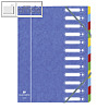 Exacompta Ordnungsmappe DIN A4, 12 F?cher, Karton 425 g/qm, blau, 55122E